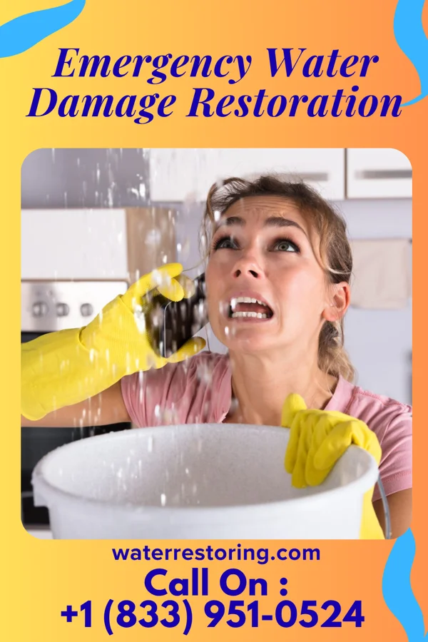 Emergency Water Damage Restoration in Brownlee Park, MI
