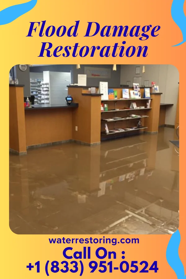 Flood Damage Restoration in Brownlee Park, MI