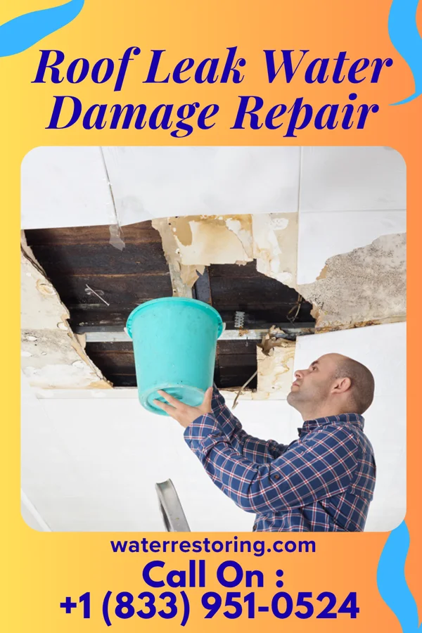 Roof Leak Water Damage Repair in Brownlee Park, MI