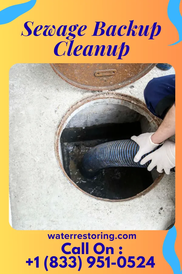 Sewage Backup Cleanup in Brownlee Park, MI
