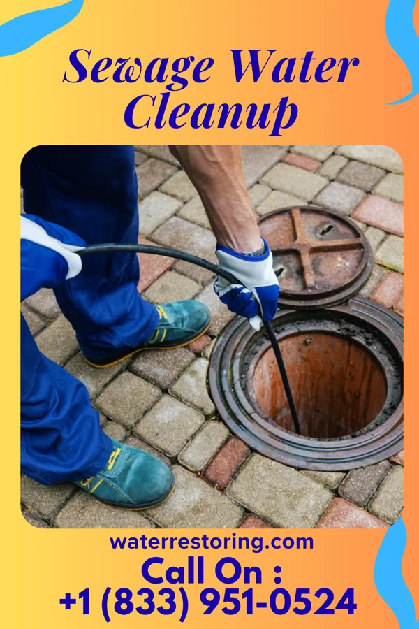 Sewage Water Cleanup in Brownlee Park, MI